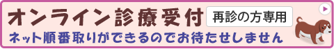 オンライン診療受付(再診の方専用)